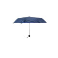 Budget Folding Umbrella