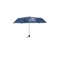 Budget Folding Umbrella