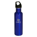 26 oz Streamline Stainless Steel Water Bottle
