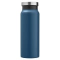 WorkSpace 20 oz Vacuum Insulated Stainless Steel Bottle