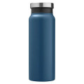 WorkSpace 20 oz Vacuum Insulated Stainless Steel Bottle