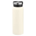 WorkSpace 20 oz Vacuum Insulated Stainless Steel Bottle