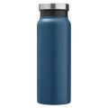 WorkSpace 20 oz Vacuum Insulated Stainless Steel Bottle