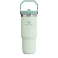 Stanley IceFlow Flip Straw Tumbler 30 oz