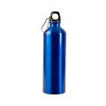 25 oz. Aluminum Alpine Sport Bottle