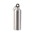 25 oz. Aluminum Alpine Sport Bottle