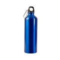 25 oz. Aluminum Alpine Sport Bottle