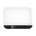 Full Page Magnifier with Lights