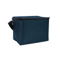 Budget 6-Pack Cooler Bag