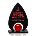 Dangerfield Award - Black