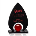Dangerfield Award - Black