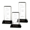 Carrier Award - Black