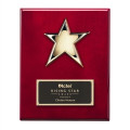 Star Plaque