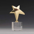 Rising Star Award