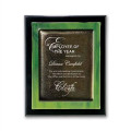 Metallic Fusion Plaque - Black/Green