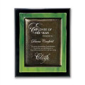 Metallic Fusion Plaque - Black/Green