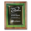 Metallic Fusion Plaque - Walnut/Green