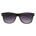 Two-Tone Translucent Malibu Sunglasses