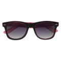 Two-Tone Translucent Malibu Sunglasses