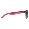 Two-Tone Translucent Malibu Sunglasses
