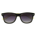 Two-Tone Translucent Malibu Sunglasses