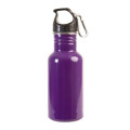 17 oz Stainless Steel Adventure Water Bottle With Carabiner