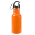 17 oz Stainless Steel Adventure Water Bottle With Carabiner