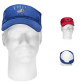 Budget Visor