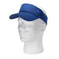 Budget Visor
