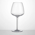 Poolside Tritan™ Red Wine Glass - 23.5 oz (Set of 4)