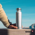 SIGG™ Original Bottle - 17oz