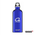 SIGG™ Classic Traveller Bottle - 20oz