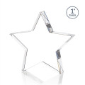 Standing Star VividPrint™ Award