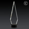 Springfield 3D Award on Stanrich Base - Black