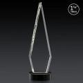 Springfield 3D Award on Stanrich Base - Black