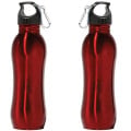 Stainless Steel 26 Oz Bottle