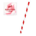 Joplin Straw In Case