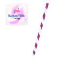 Joplin Straw In Case
