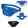 Fanny Pack With Organizer