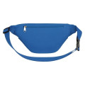 Fanny Pack With Organizer