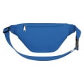 Fanny Pack With Organizer