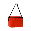 Insulated 6 Pack Cooler