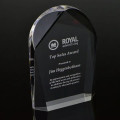 Palacio Acrylic Award
