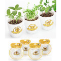 Plastic Cute Potted Plant for Decoration