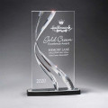 Large Clear Award
