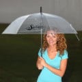 46" Arc Clear Umbrella