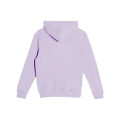 Lane Seven Youth Premium Pullover Hooded Sweatshirt