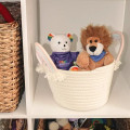 6" Rainbow Bear