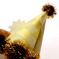 Birthday Hat