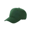 Big Accessories Brushed Twill Cap